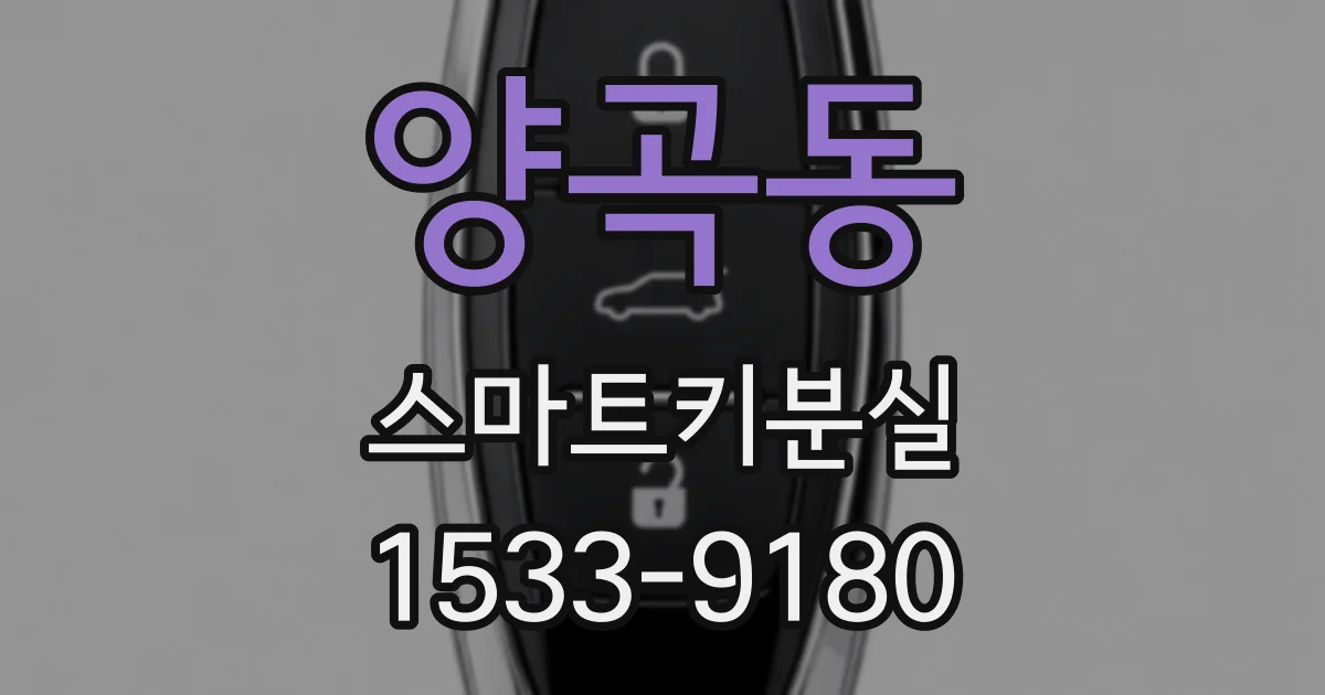 양곡동 스마트키분실
