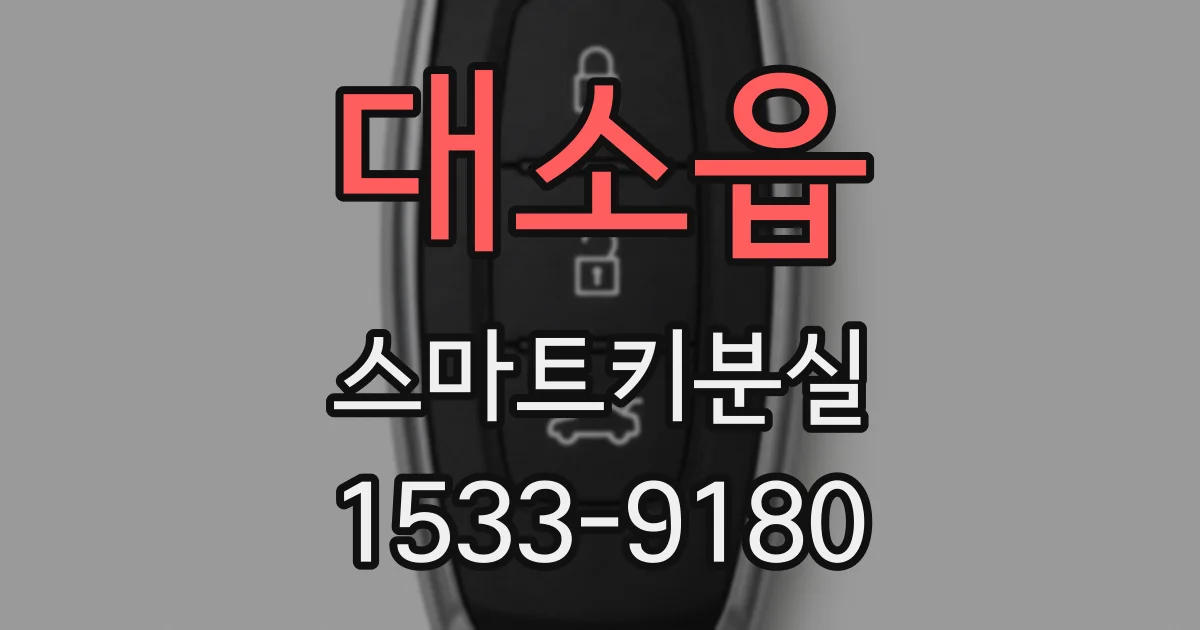대소읍 스마트키분실