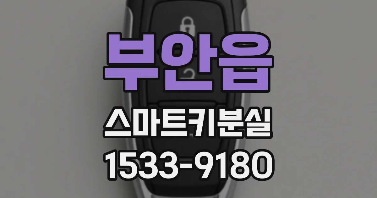 부안읍 스마트키분실