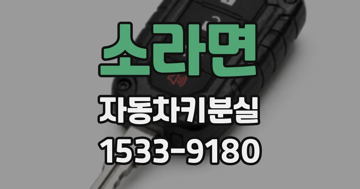 소라면 자동차키분실