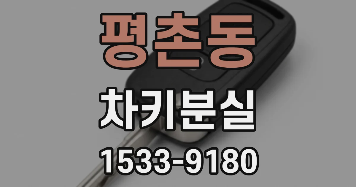 평촌동 차키분실