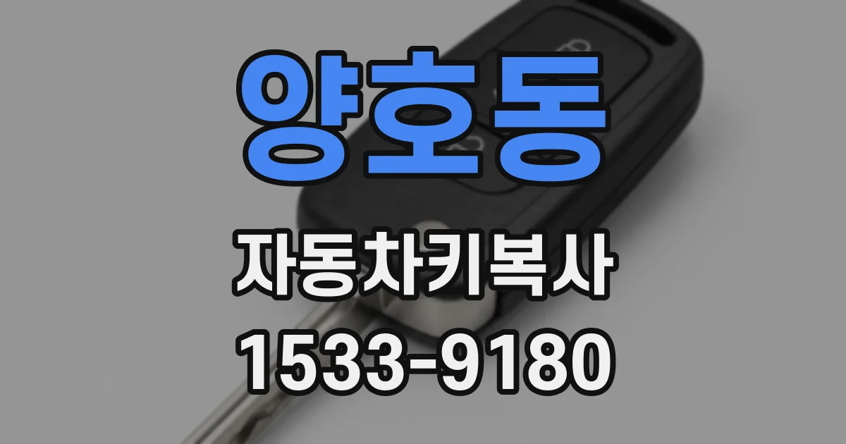 양호동 자동차키복사