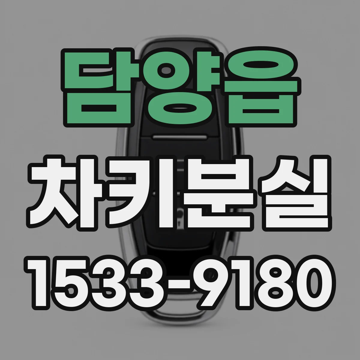 담양읍 차키분실
