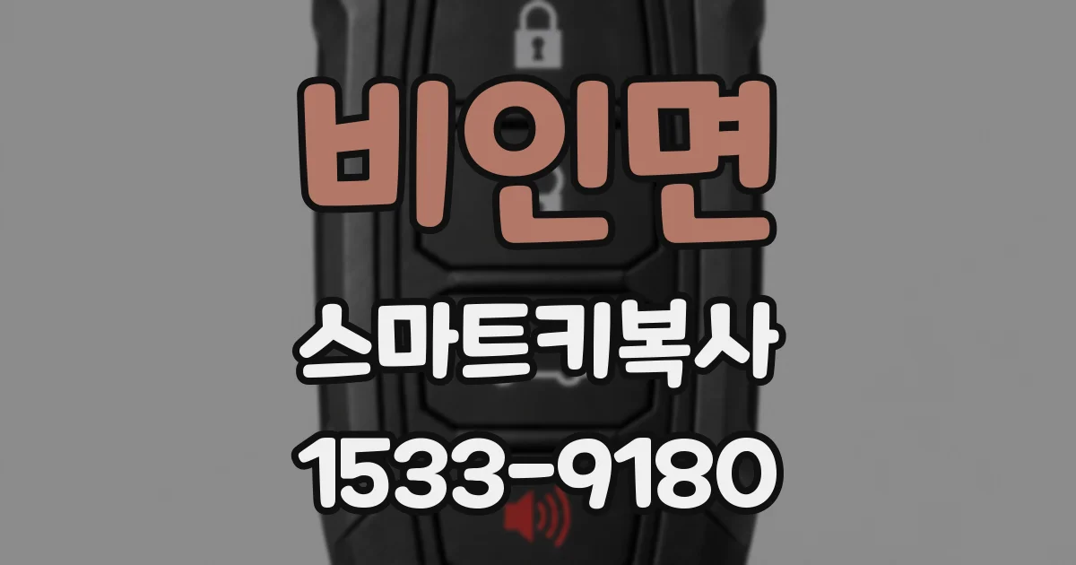 비인면 스마트키복사