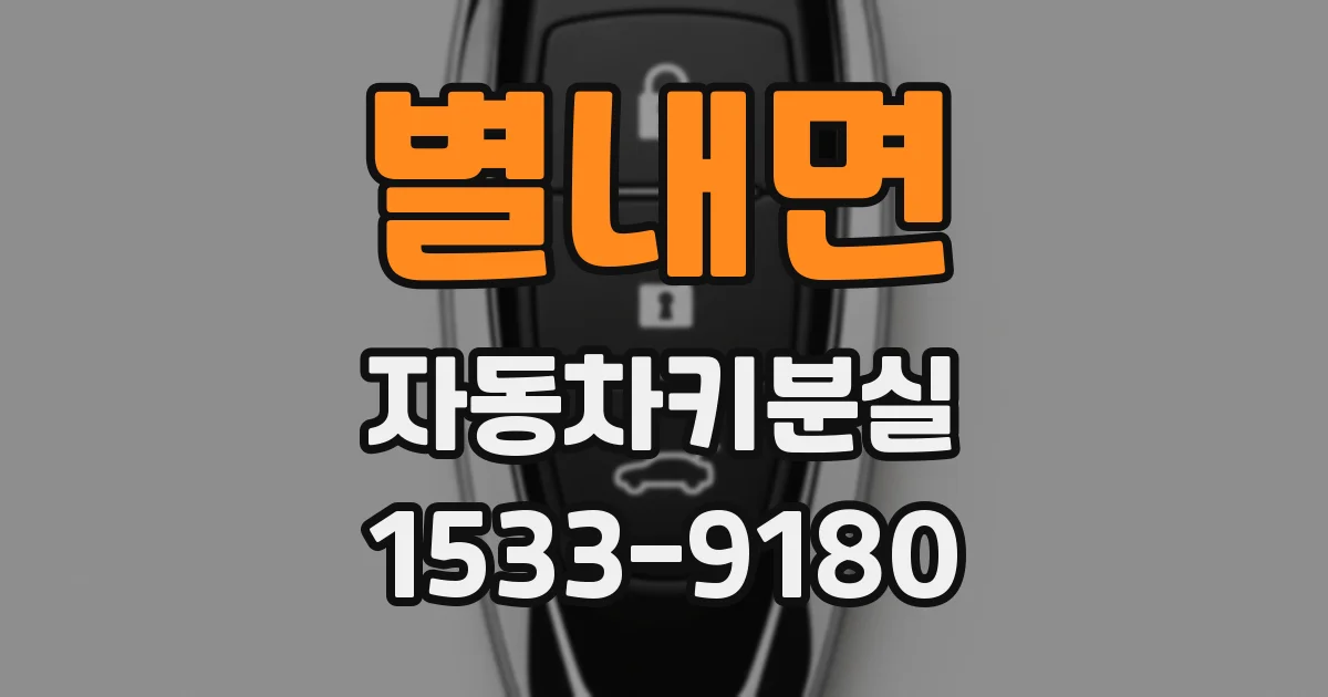 별내면 자동차키분실