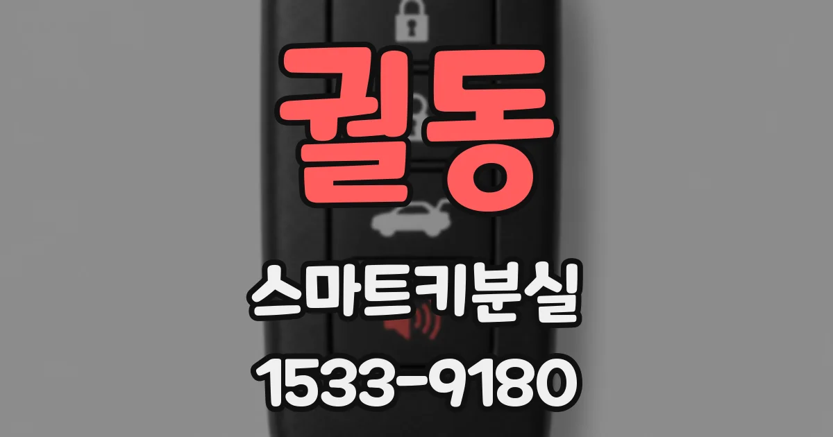 궐동 스마트키분실