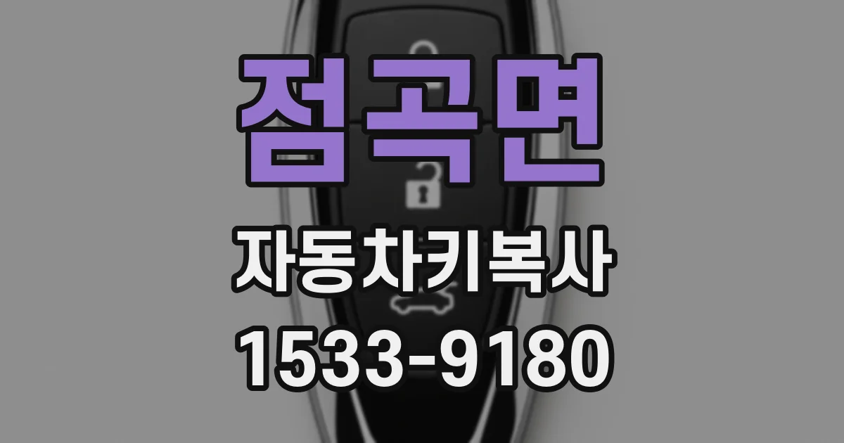 점곡면 자동차키복사