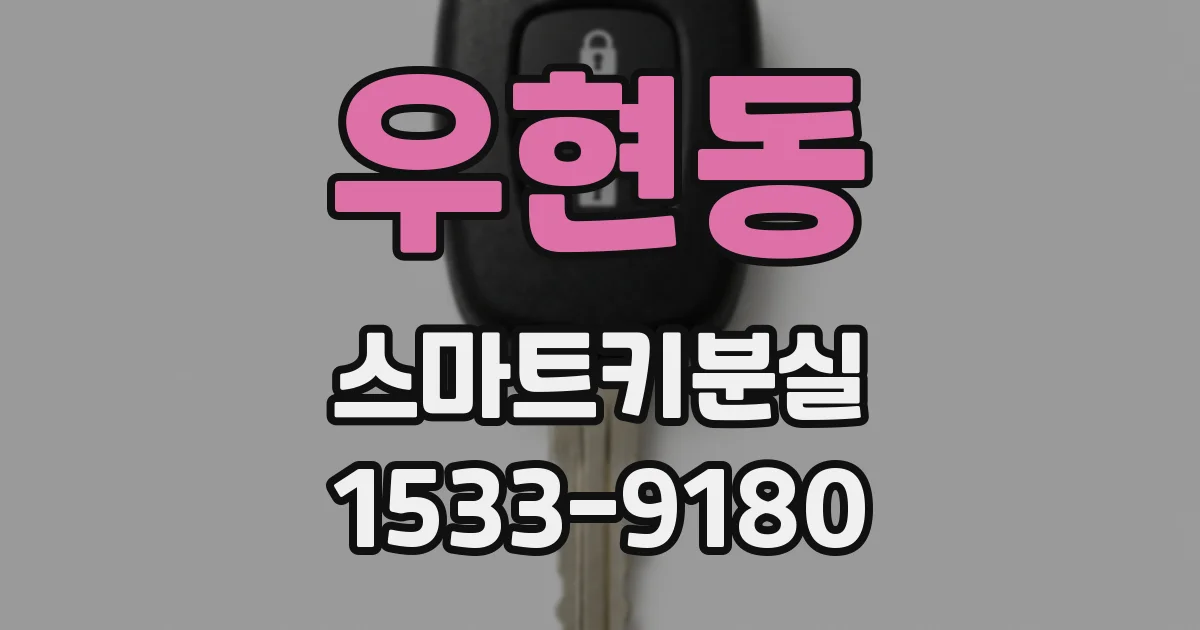 우현동 스마트키분실