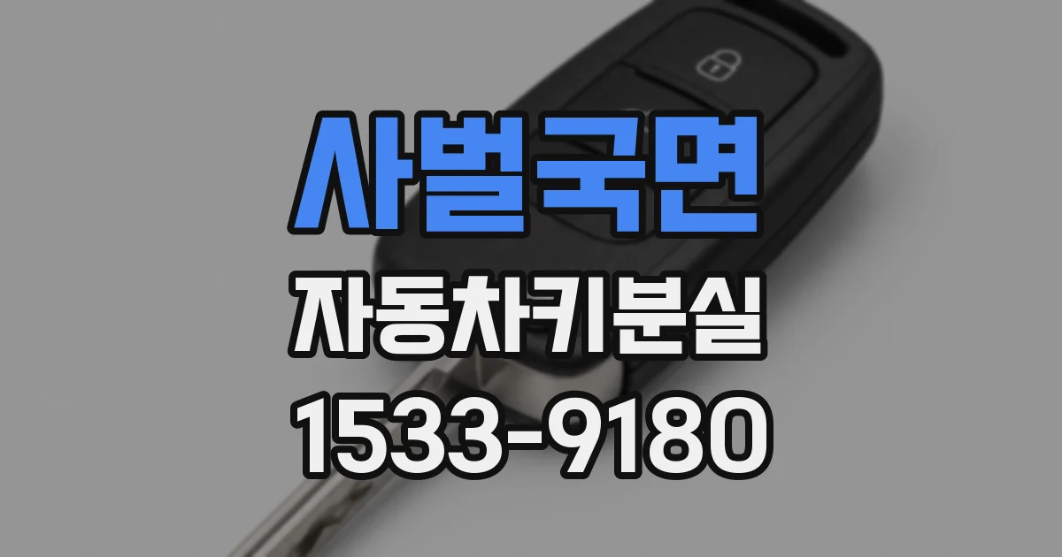 사벌국면 자동차키분실