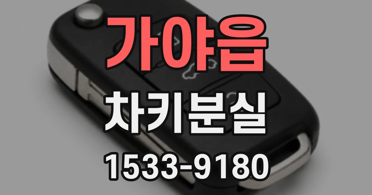 가야읍 차키분실
