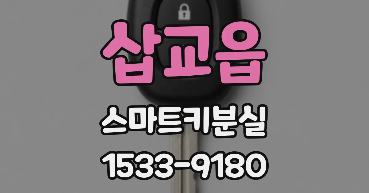 삽교읍 스마트키분실