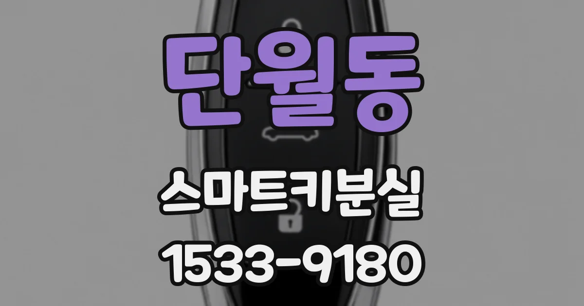 단월동 스마트키분실