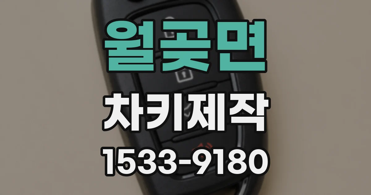 월곶면 차키제작