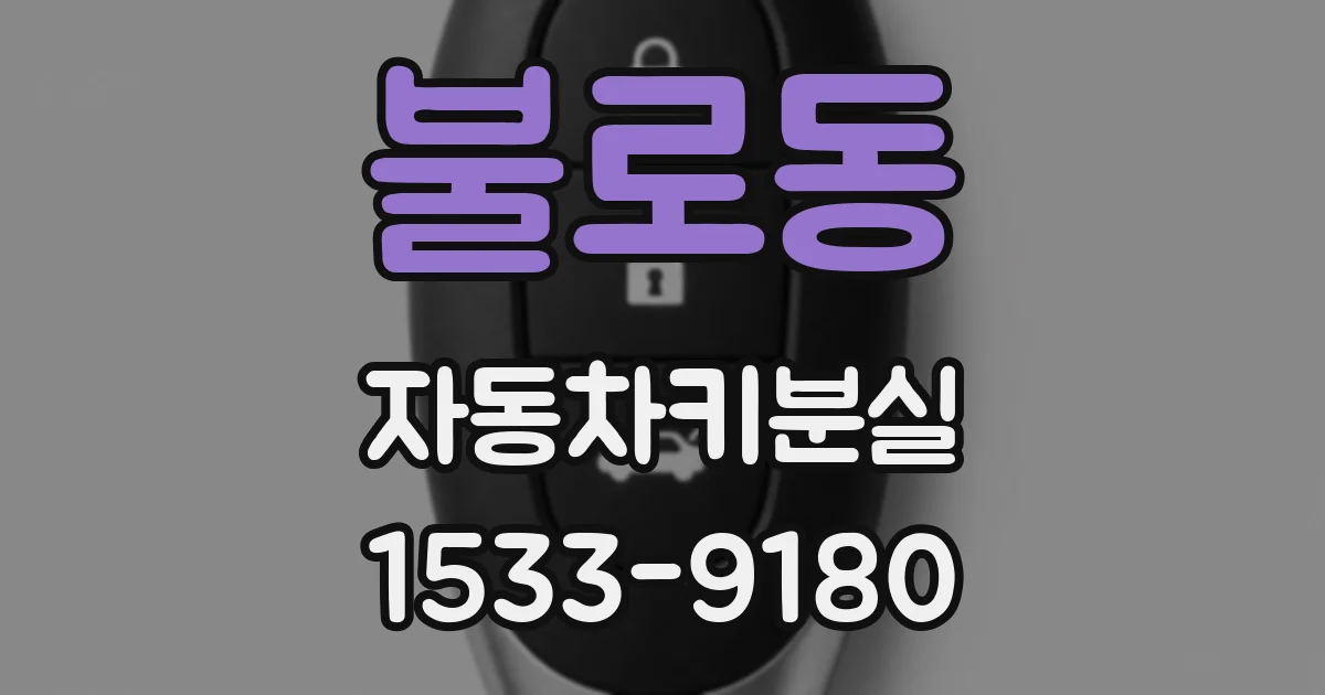 불로동 자동차키분실