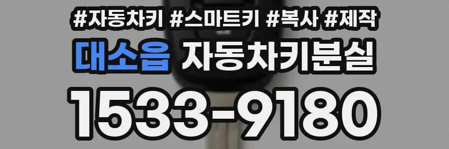 대소읍 자동차키분실