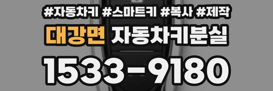 대강면 자동차키분실