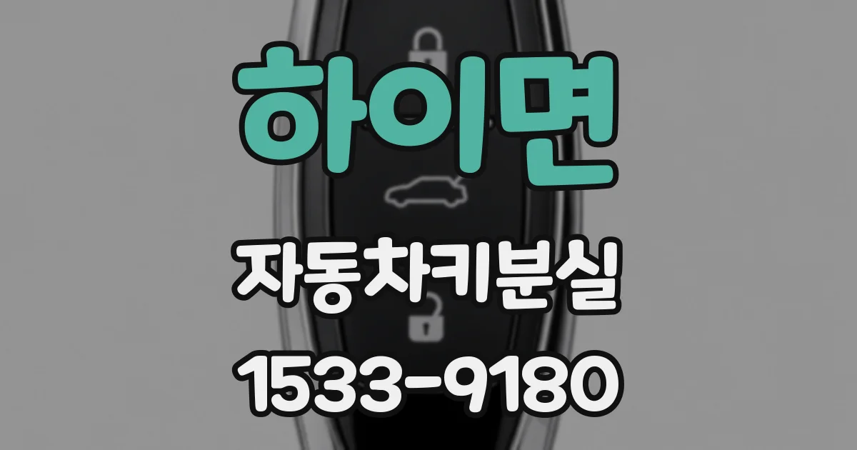 하이면 자동차키분실