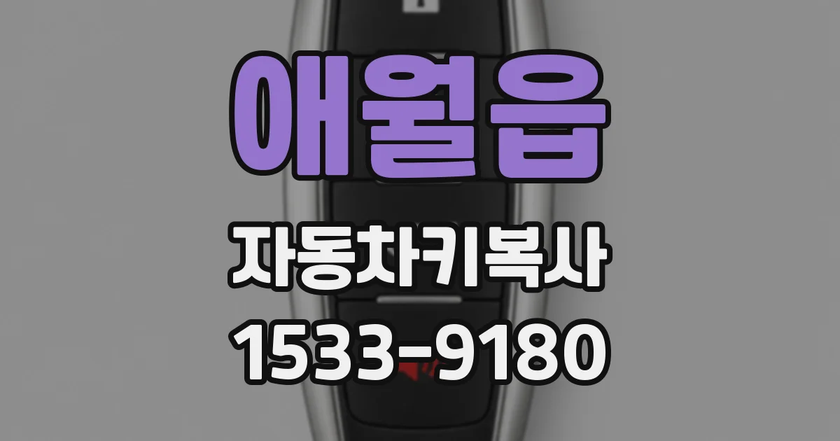 애월읍 자동차키복사