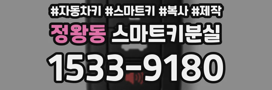 정왕동 스마트키분실
