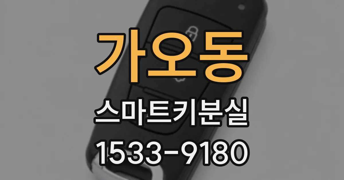 가오동 스마트키분실