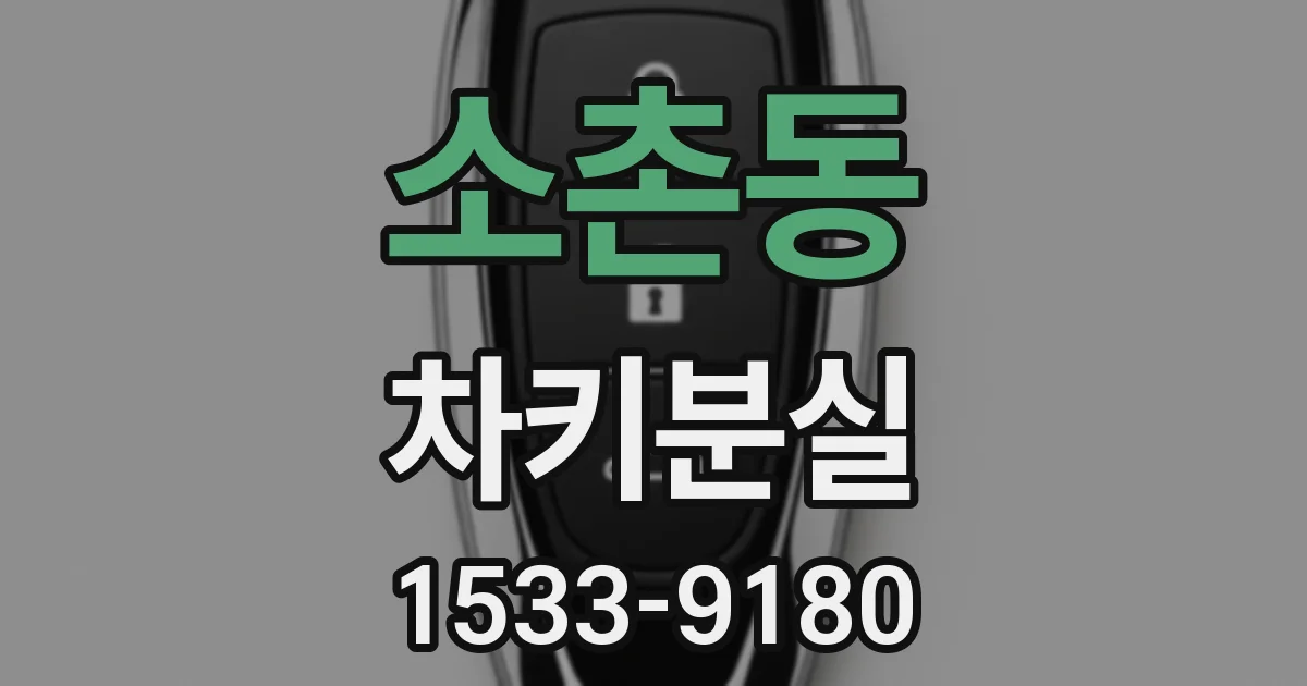 소촌동 차키분실