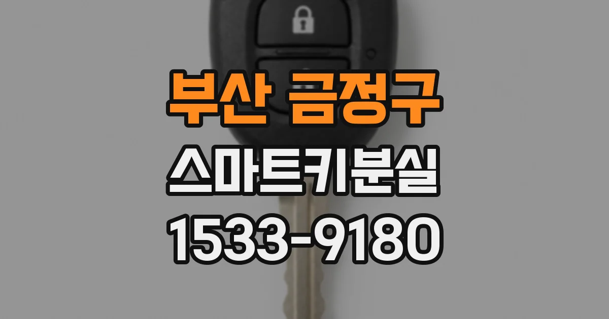부산 금정구 스마트키분실