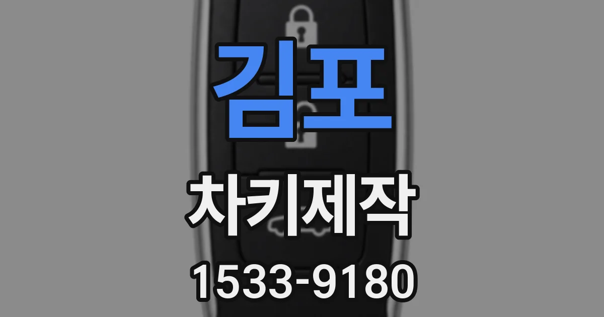 김포 차키제작