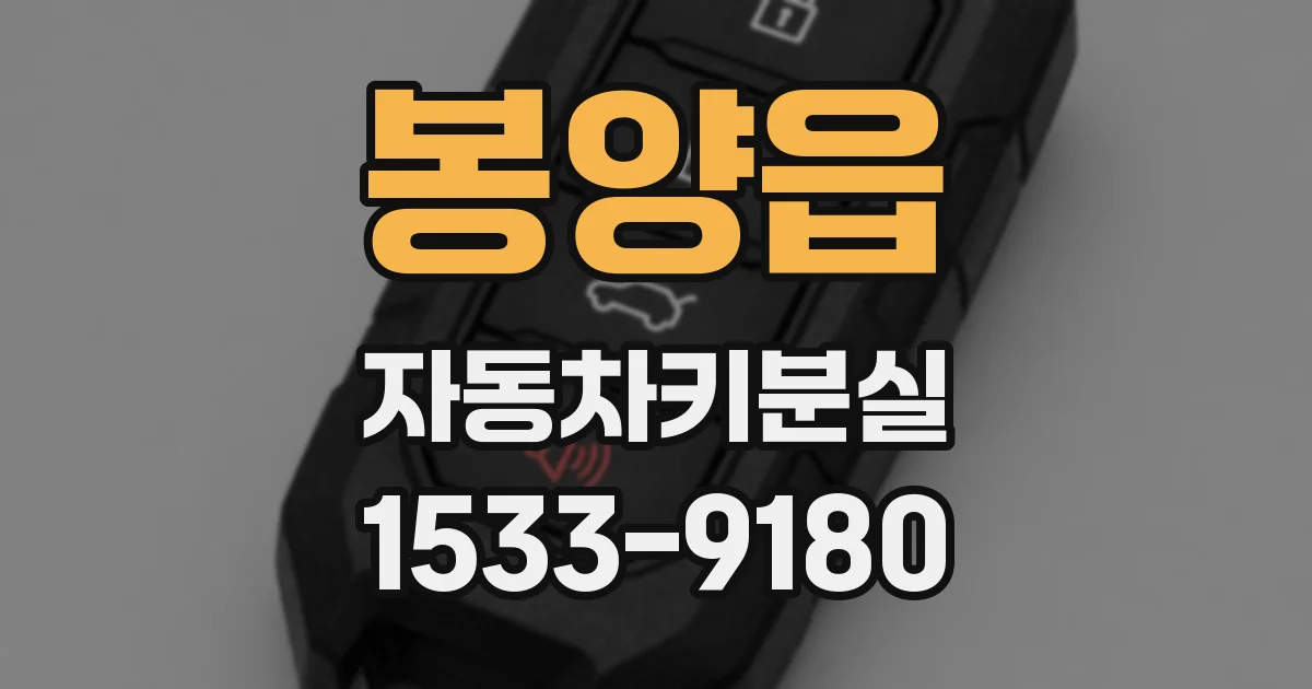 봉양읍 자동차키분실