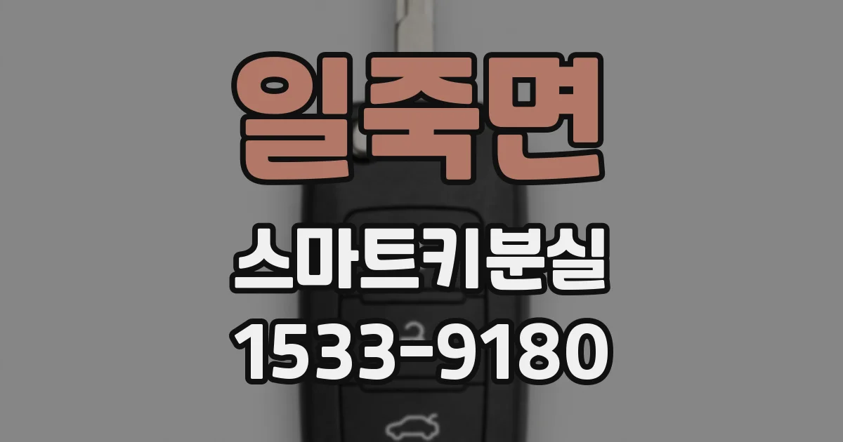 일죽면 스마트키분실