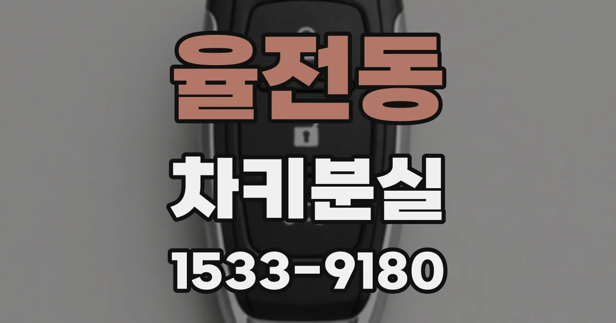 율전동 차키분실