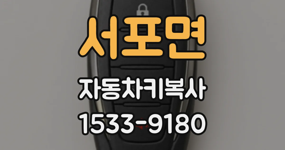 서포면 자동차키복사