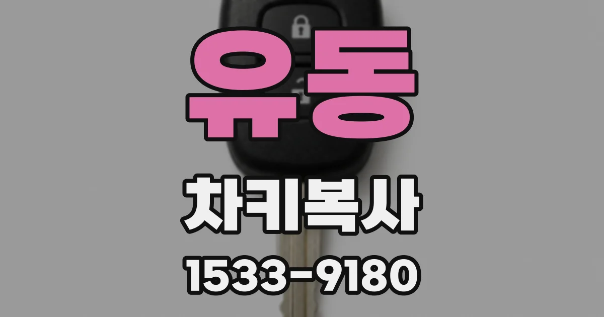 유동 차키복사