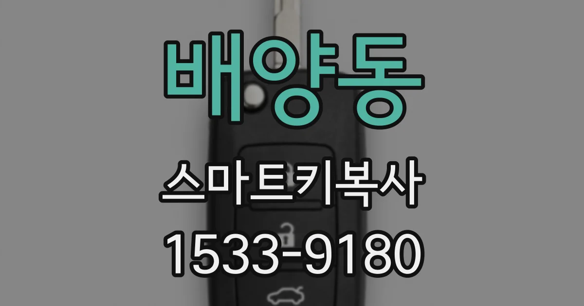 배양동 스마트키복사
