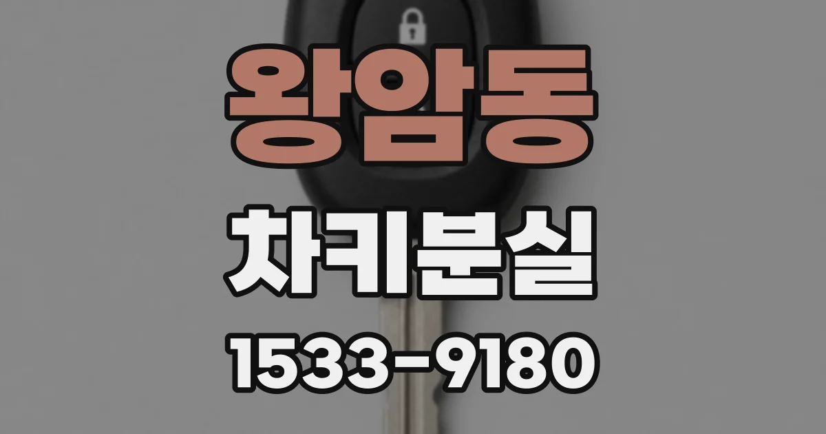 왕암동 차키분실