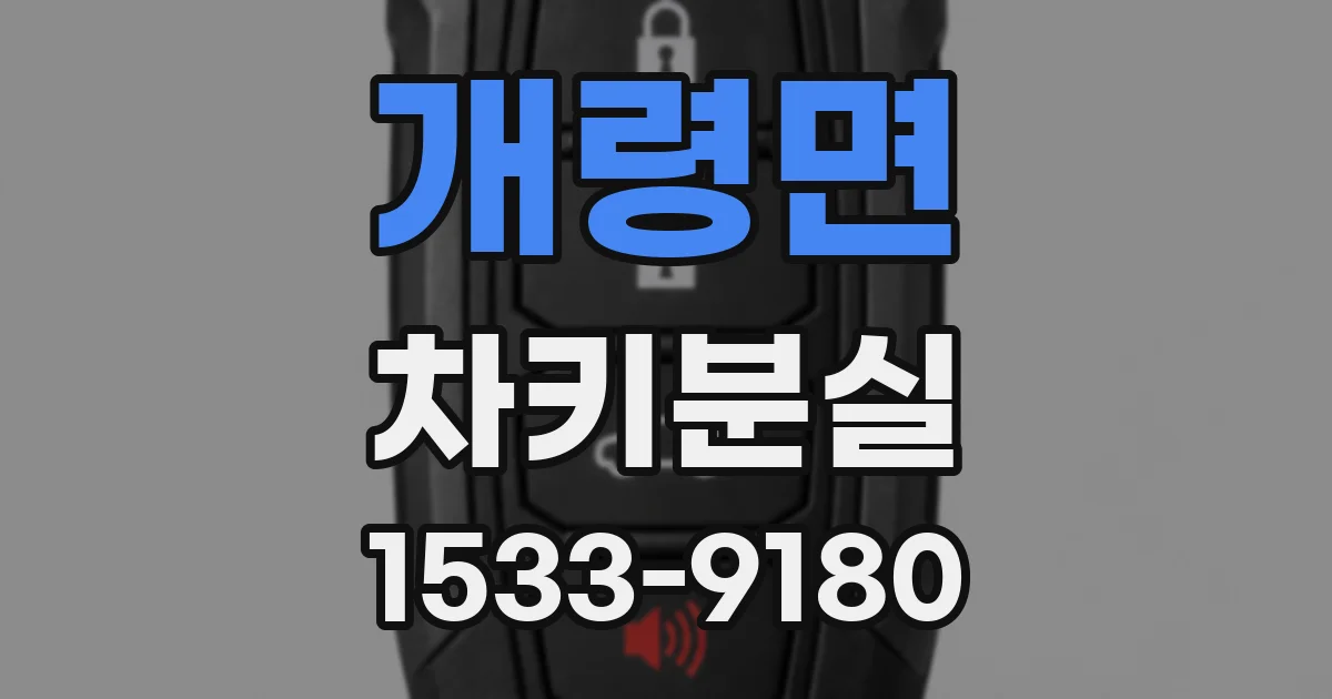 개령면 차키분실