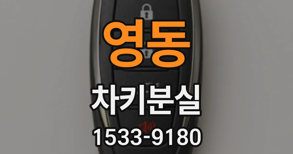 영동 차키분실