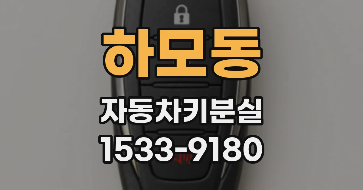 하모동 자동차키분실