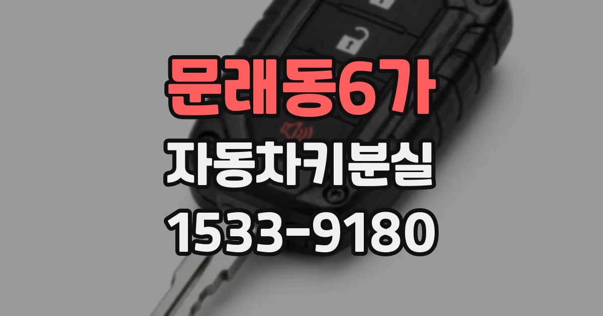 문래동6가 자동차키분실