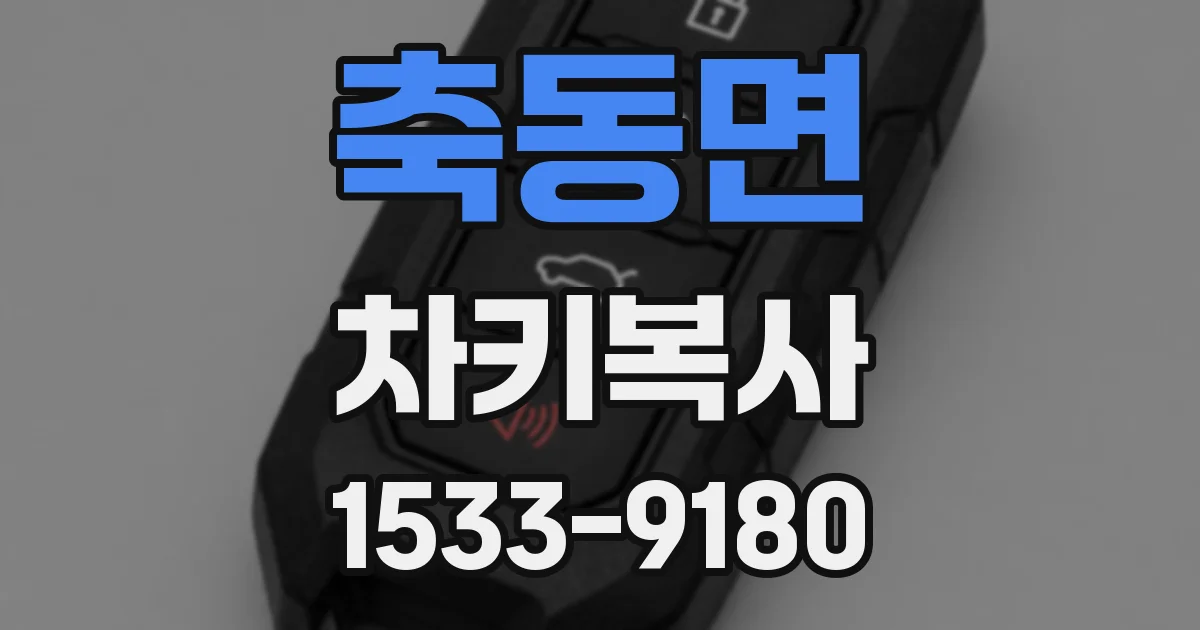 축동면 차키복사