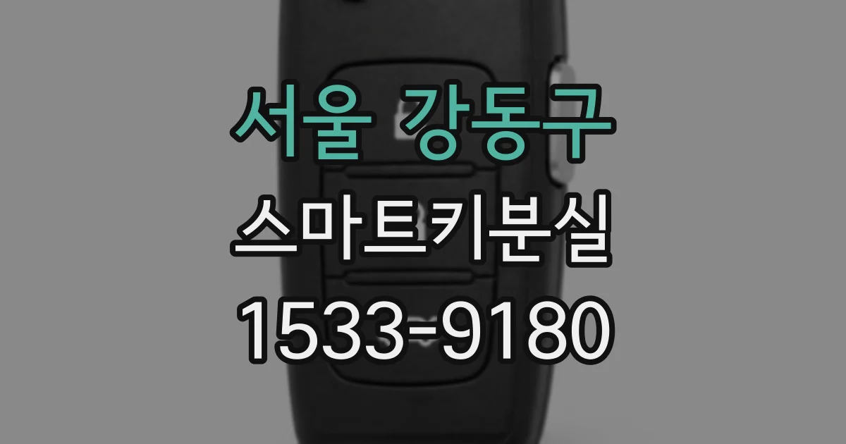 서울 강동구 스마트키분실