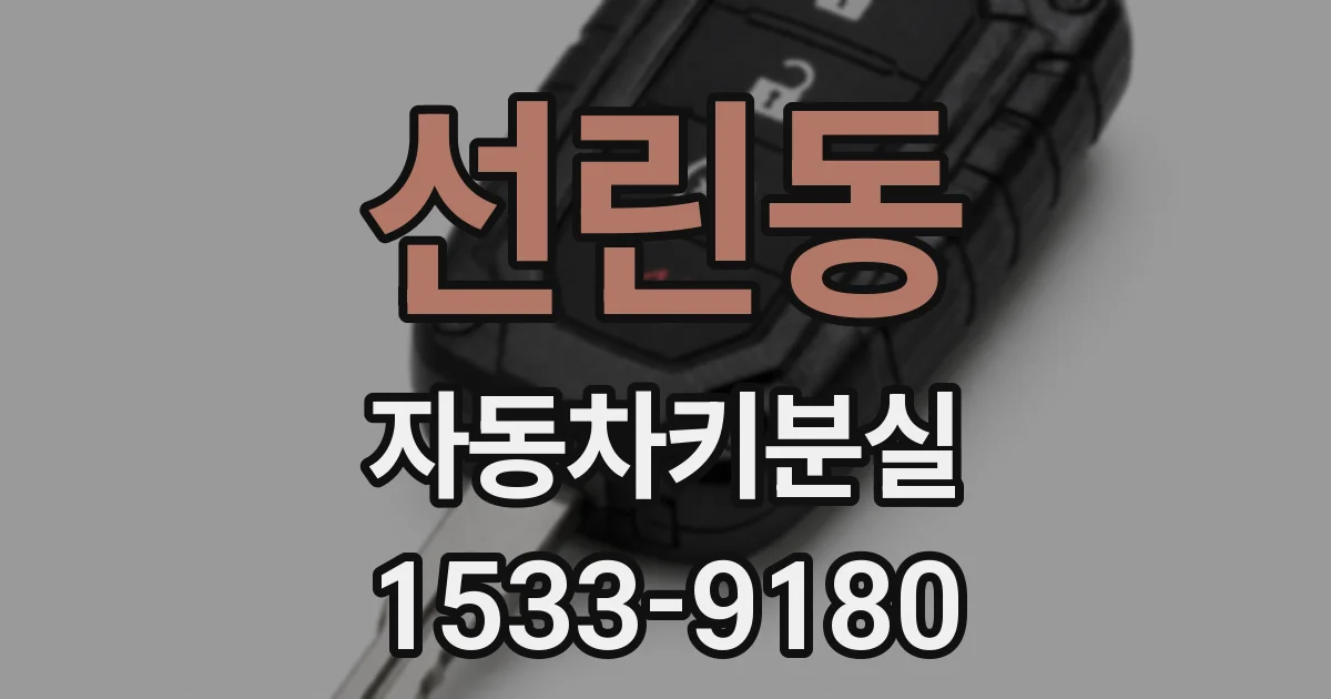 선린동 자동차키분실