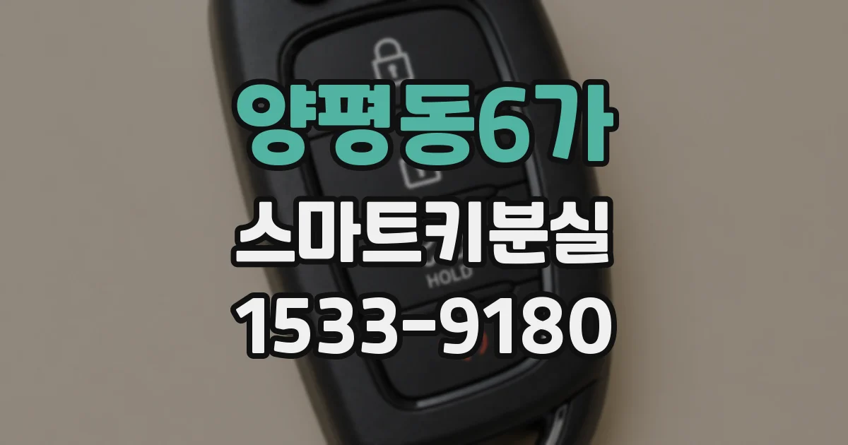 양평동6가 스마트키분실