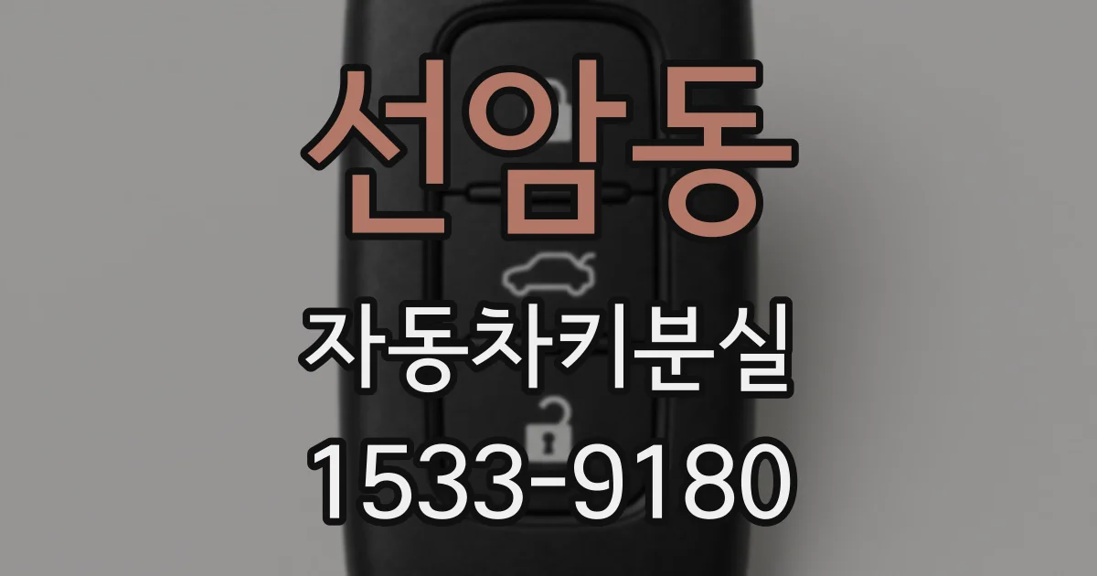 선암동 자동차키분실