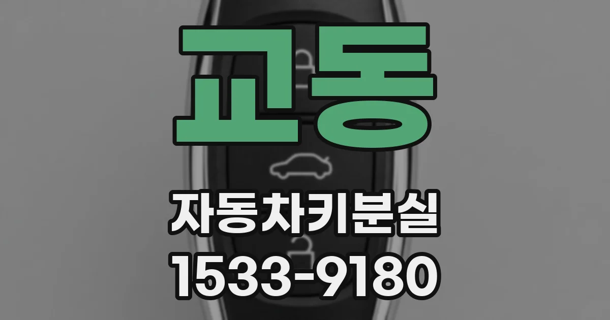 교동 자동차키분실