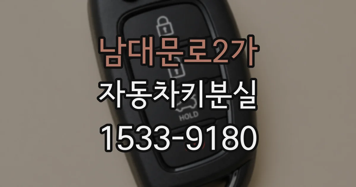 남대문로2가 자동차키분실
