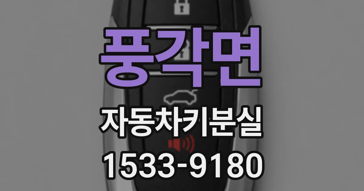 풍각면 자동차키분실