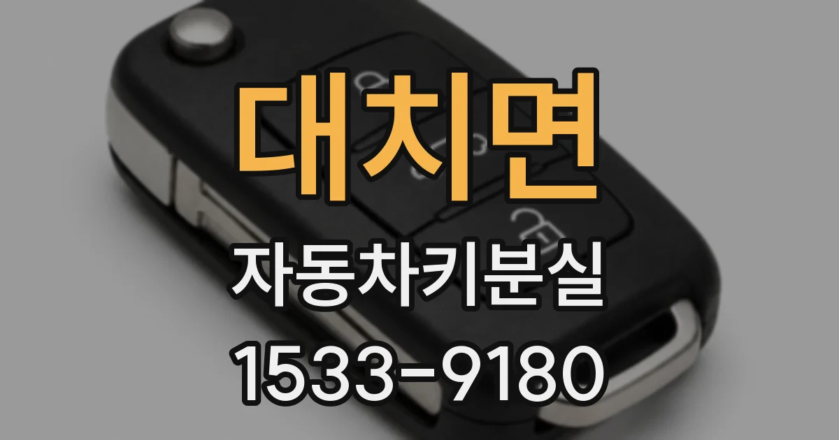 대치면 자동차키분실