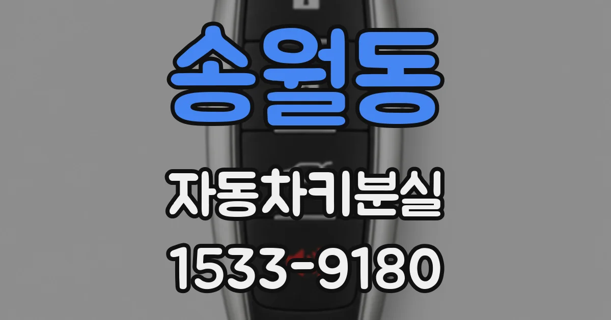송월동 자동차키분실