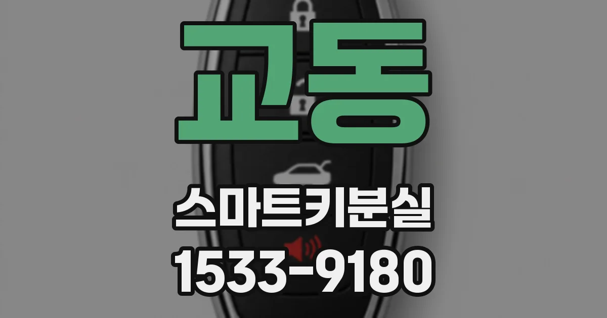 교동 스마트키분실