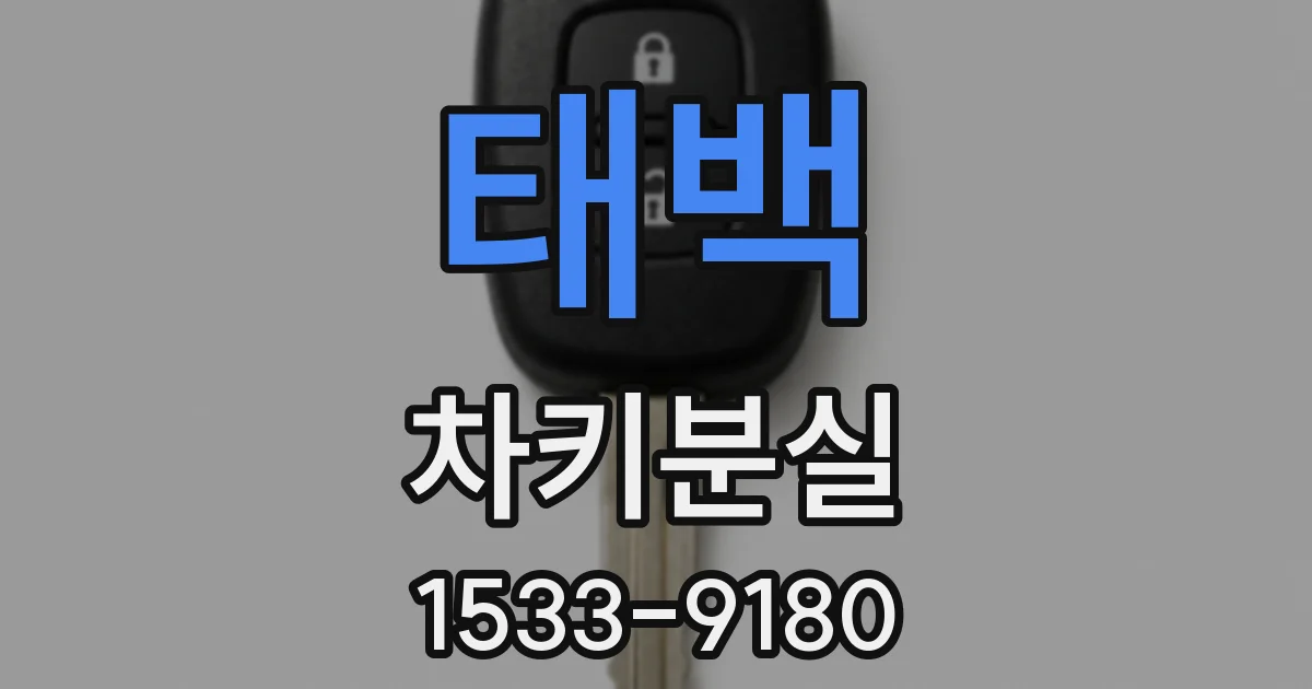 태백 차키분실